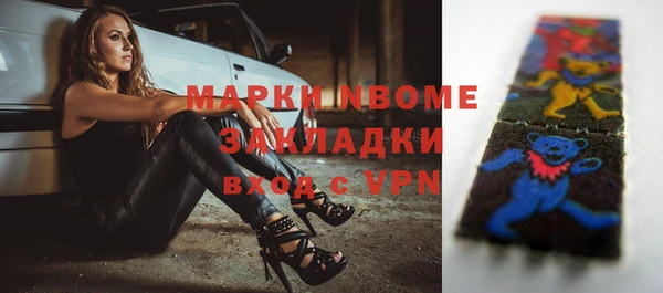 шишки Аркадак