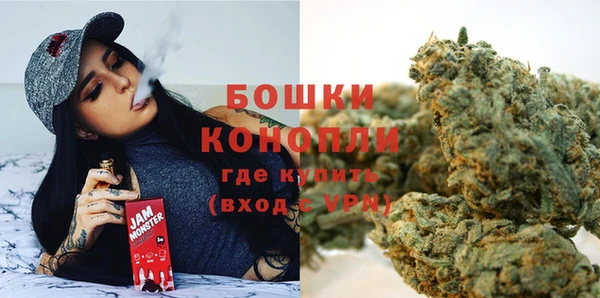 шишки Аркадак