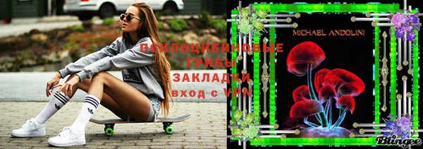 шишки Аркадак