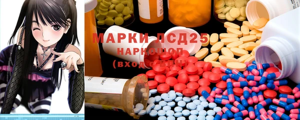 шишки Аркадак