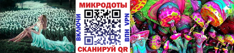 купить наркотики сайты  Белозерск  Псилоцибиновые грибы Cubensis 